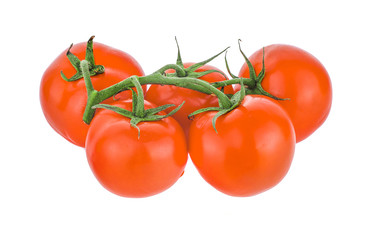 fresh tomatoes isolated on white background