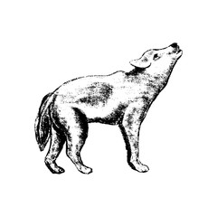 wolf icon grunge style 