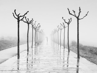 path with person walking with umbrella on rainy day at winter