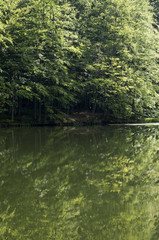 Morning summer lake in Poland
