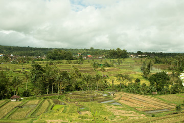 Bali