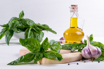 Fresh green basil with garlic and olive oil on white background