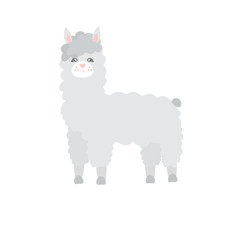 cute alpaca