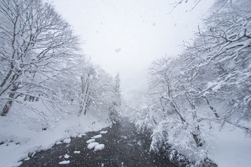 冬の八重滝

