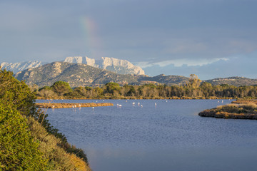 Stagno delle saline vicino a Olbia