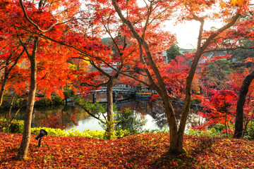 Autumn garden at Eikando temple, Kyoto