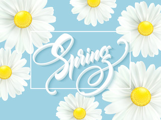 Calligraphic inscription Hello Spring with spring flower - blooming white daisy. Vector illustration