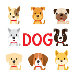 8 Dogs Faces Set, Year Of The Dog, Traditional Celebration, China, Spring Festival, Animal