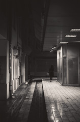 In the passage itself