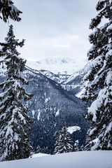 Beautiful place in the Alps