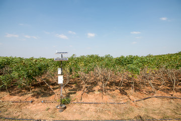 agriculture and Internet of things , smart farmer