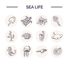 Hand drawn doodle sea life set.