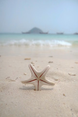 Fototapeta na wymiar Little dry starfish stuck into white sand on a tropical island with waves, boat and island at the background
