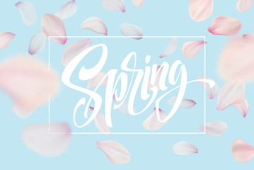 Spring lettering web banner template. Color pink sakura cherry blossom flower blue sky landscape background design. Vector illustration