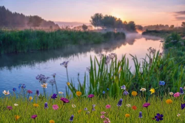 Gordijnen Summer landscape with river © firewings