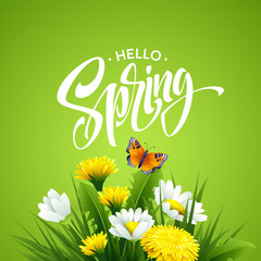 Inscription Hello Spring on background with spring flowers. Vector illustration