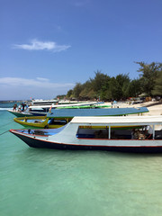 Fototapeta premium Gili