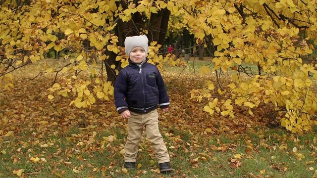 Little happy boy in gray hat and a blue jacket jumping in front of the tree with yellow leaves in autumn Park.