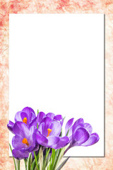 Sheet of paper and flowers