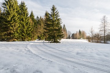 Obraz premium Gespurte Langlauf Loipen im Bayerischen Wald, Deutschland