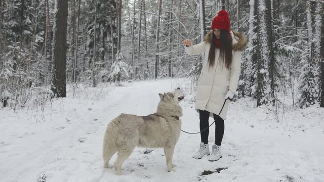 playful funny girl trying to play with her siberian husky dog, feeding. Lots of trees are arond, snow, winter road.