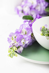 Fototapeta na wymiar Beautiful spring flower on the white table