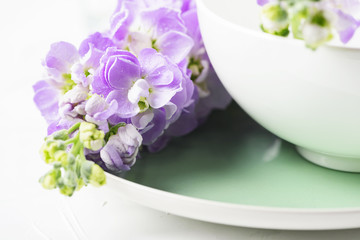 Obraz na płótnie Canvas Beautiful spring flower on the white table