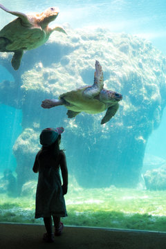 Silhouette enfant Aquarium