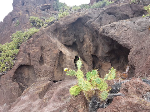caverna