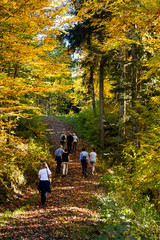 Wandergruppe im Herbstwald