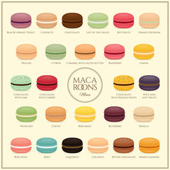 Different types of macaroons. Macaroons  menu. Set of different taste cake macarons. Flat style, vector illustration.