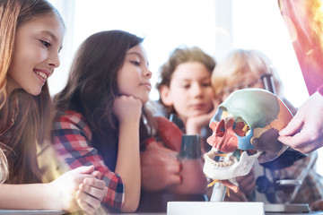 Demonstrative strategy. Talented persistent inspired kids attending biology class and looking at plastic model their professor showing