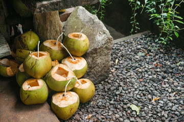 a lot of coconuts empty coconut without milk with straws in a tourist cafe on the tropical island...