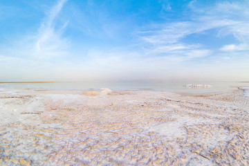 Fototapeta na wymiar Salty coast of the Dead Sea.