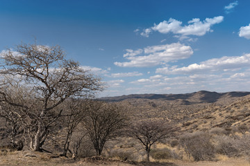 Fototapeta na wymiar View of the Eros Mountains (Erosberge) north of Windhoek, Namibia