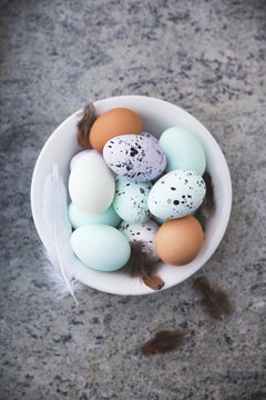 Painted eggs in bowl