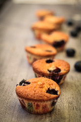Blueberry muffin