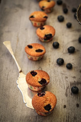 Blueberry muffin