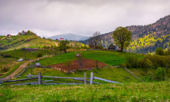 wooden fences of rural area on grassy hillsides. lovely rural landscape of mountainous village in springtime