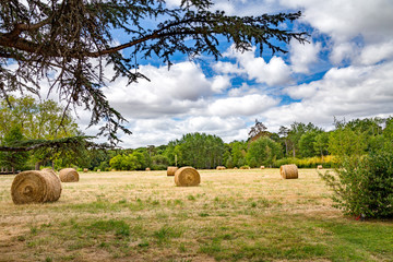 Campagne fran&ccedil;aise