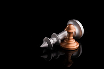 chess king with pawn