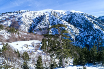 winter landscape from the Pindus mountain range