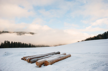 Sulla neve