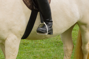 Close up of leather riding boots in stirrups on a cremello coloured thoroughbred horse