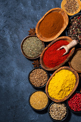 paprika, turmeric, red pepper and other oriental spices on dark background, vertical top view