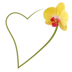 Realistic yellow orchid frame, heart.