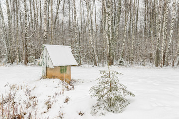 well covered with snow in winter birch forest