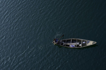 Naklejka premium Fishes in Que