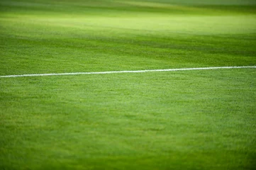 Photo sur Plexiglas Foot Fußballspielfeld mit weisser Kreidelinie