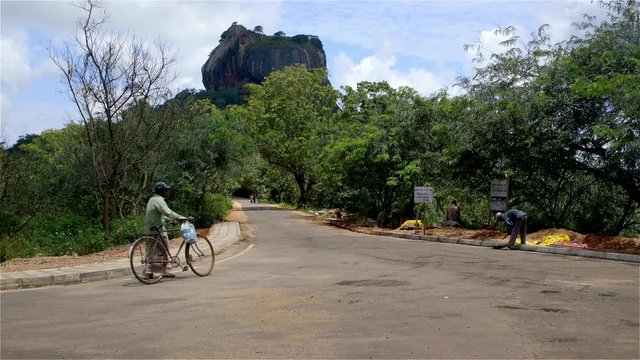 Lion Rock & Cyclist; Dambulla To Polonnaruwa; Sigiriya, Sri Lanka